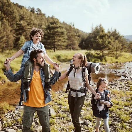 Johann שלאדמינג